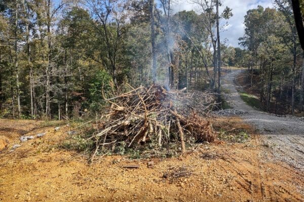 Wood Clearing WM Tucker Excavating